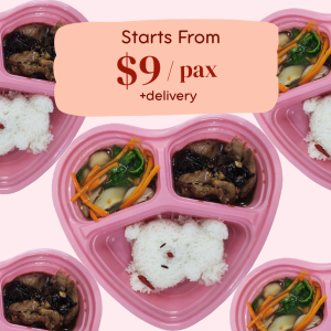 Bento and Packed Meal Catering